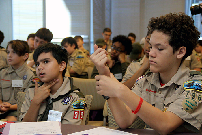 Boy Scouts Public Health Badge